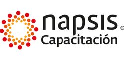 Napsis-logo-web-1