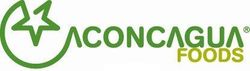 aconcagua-1